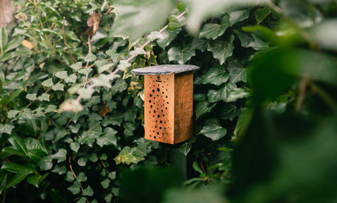 Bienen