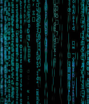 identifikationsstandards Duns