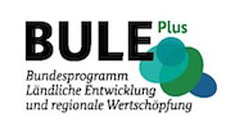 BULE plus Logo 3