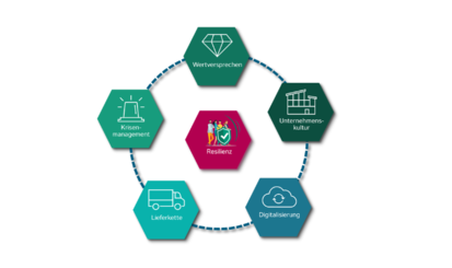 Diagramm Resilienz