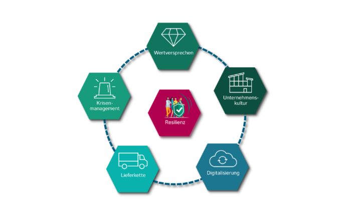 Diagramm Resilienz
