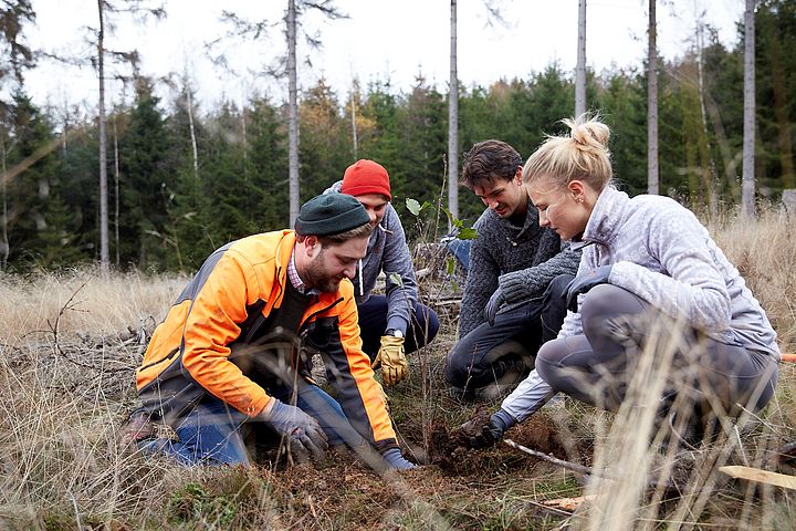 Das Team von Planted beim Einpflanzer neuer Bäume