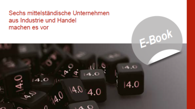 E-Book