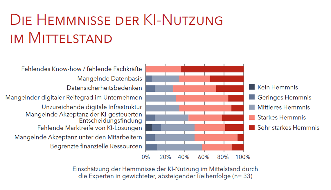 Hemmnisse KI-bezogene Geschäftsmodelle