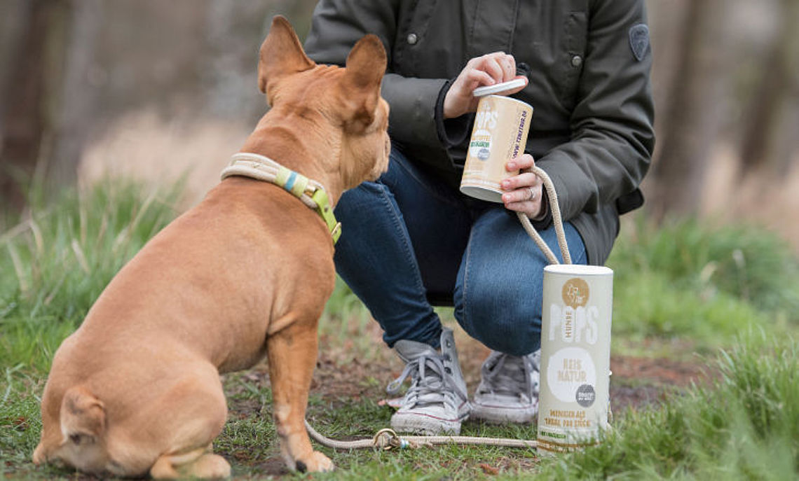Hund wird gefüttert mit Insektensnacks von TENETRIO TENETRIO fertigt innovative Hundesnacks aus Mehlwürmern
