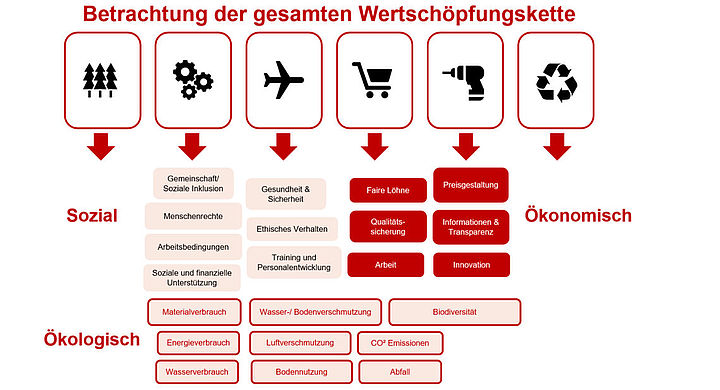 Betrachtung der gesamten Wertschöpfungskette Gesamte Wertschöpfungskette (Supply Chain Management)