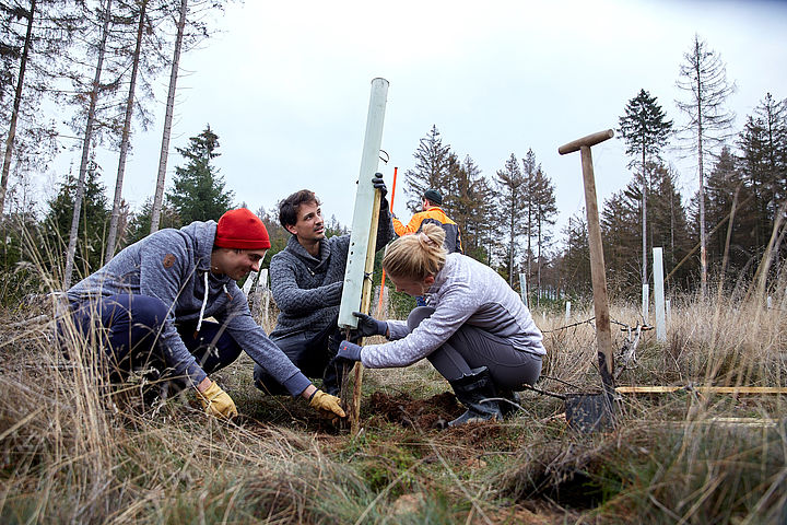 Das Team von Planted setzt zukünftig auf nachhaltigere IT. Planted