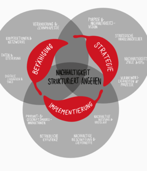 Prompting-Guide Nachhaltigkeit
