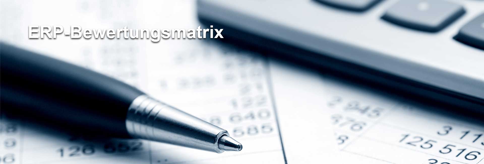 ERP-Bewertungsmatrix