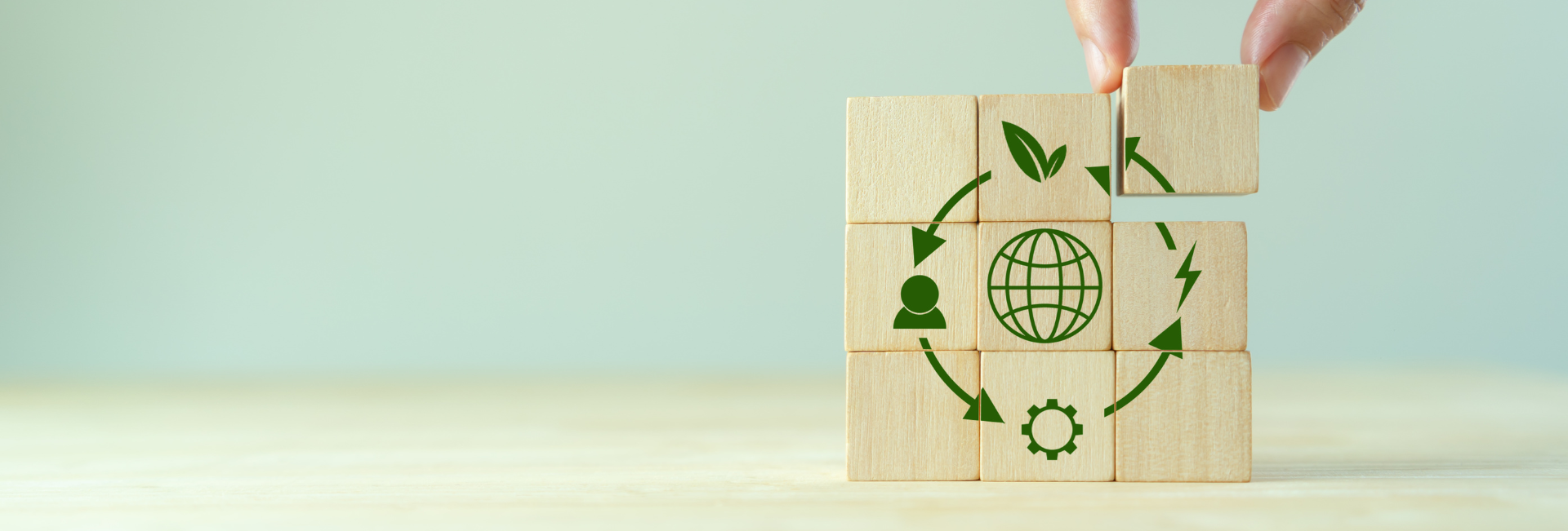mdz wertnetzwerke visual circular economy