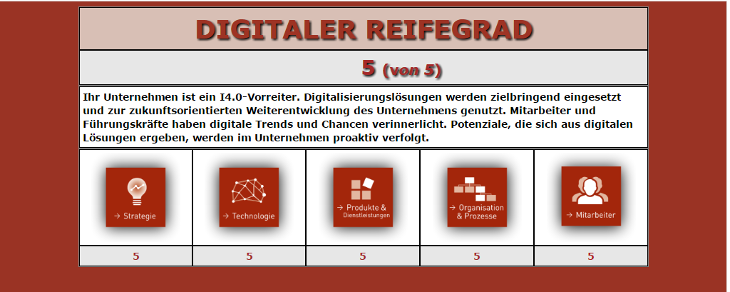 Grafik "Digitaler Reifegrad" Grafik "Digitaler Reifegrad"