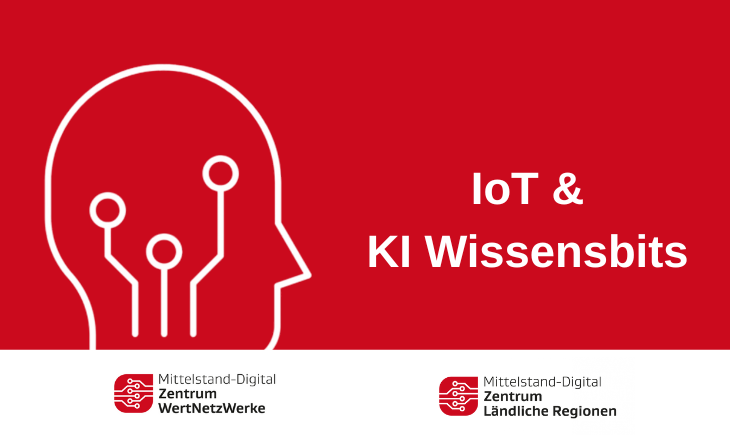 Online-Reihe | IoT & KI Wissensbits: Standardisiertes Daten- und Schnittstellenmanagement, aber welche sind zweckmäßig?